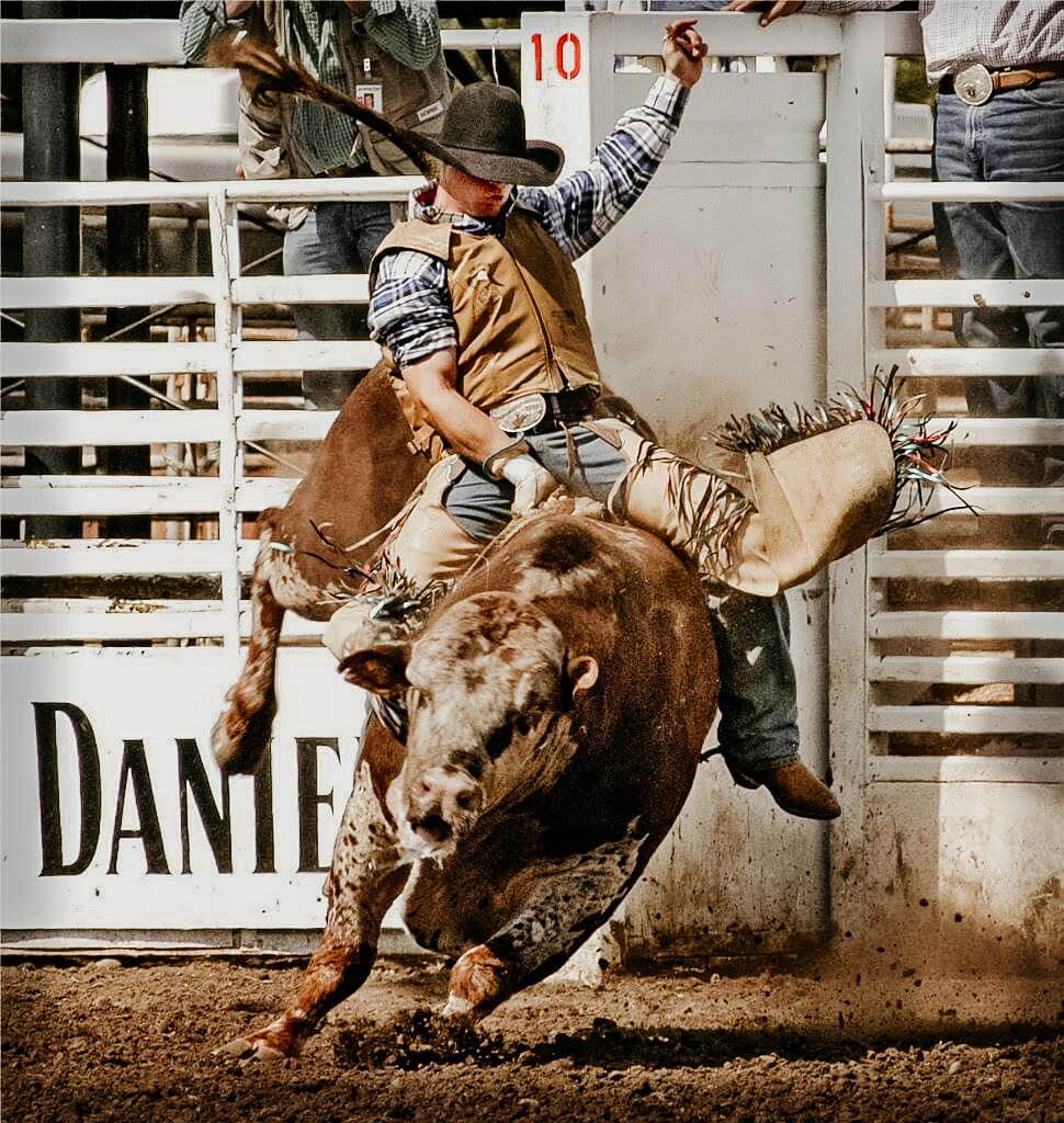 WHAT BEING A COMPETITIVE BULL RIDER TAUGHT ME ABOUT LIFE’S BULLSHIT ...